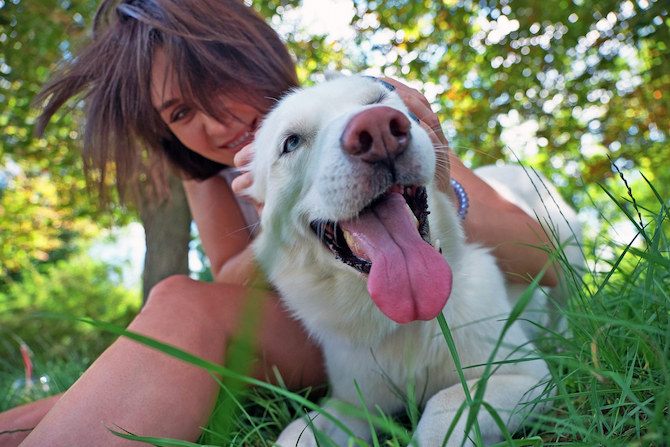 dog and owner